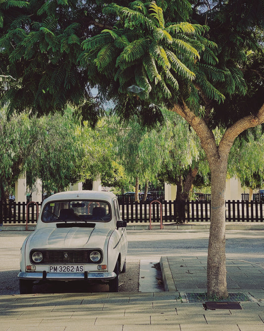 Mallorca Photo Print