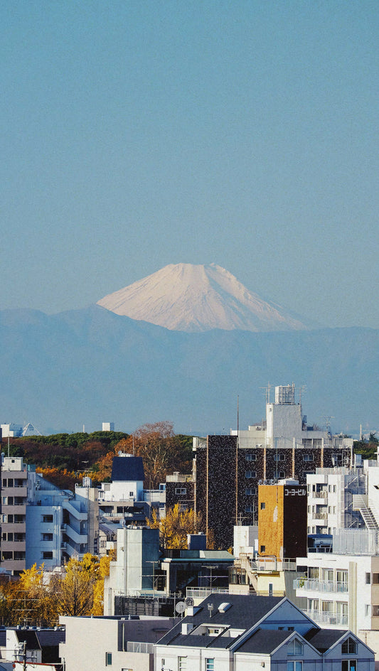 Mt. Fuji over Tokyo Photo Print
