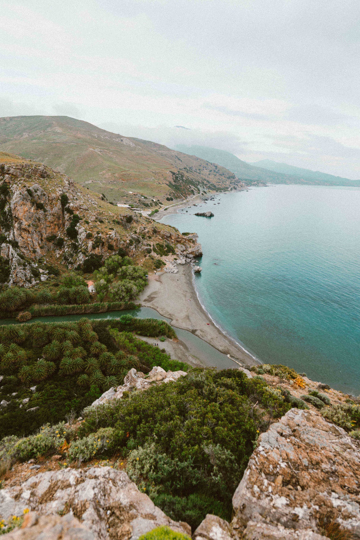 Palm Forest, Greece Photo Print