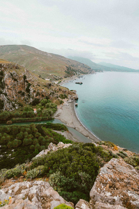 Palm Forest, Greece Photo Print