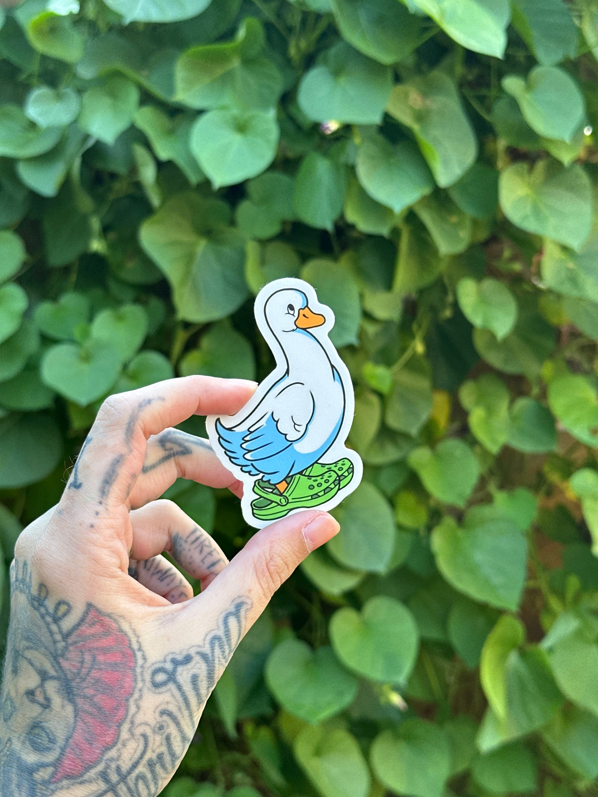 Croc Silly Goose