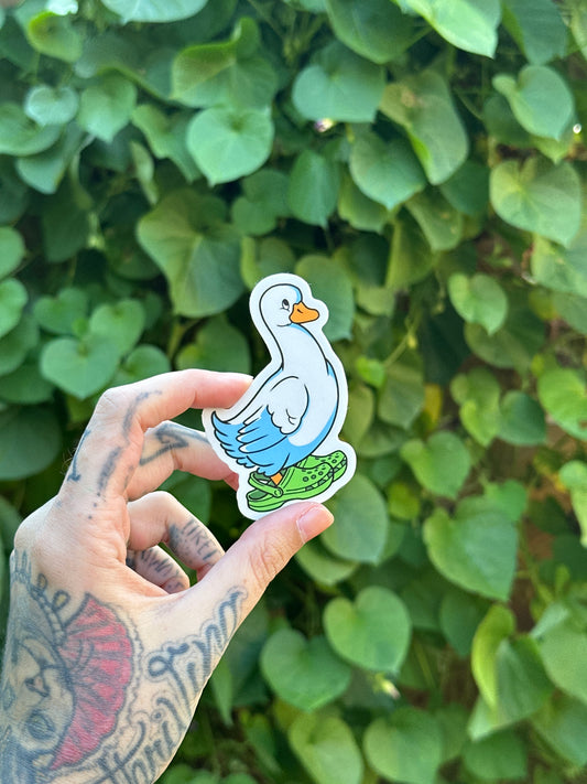Croc Silly Goose